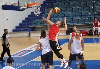Stella azzurra - Orvieto
