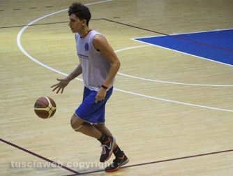 Stella azzurra - Orvieto