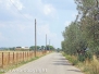 Stranieri a Viterbo