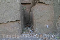 Guano di piccione - Porta Fiorentina