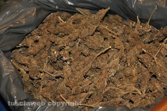 Stroncato giro di spaccio in centro