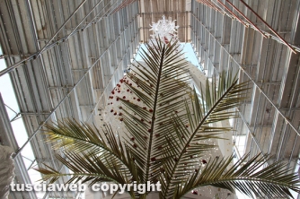 Macchina 2014 - Sui tetti di Viterbo con Santa Rosa