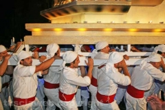 Sulla salita di Santa Rosa con Grasso