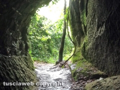 Bomarzo - Chia - Sulle orme di Pasolini