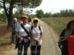 Sulle vie dell’esilio di santa Rosa - Seconda giornata 2013