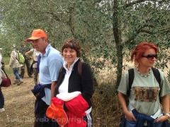 Sulle vie dell’esilio di santa Rosa - Seconda giornata 2013