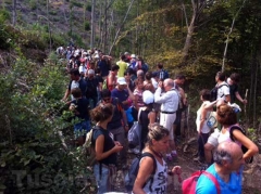 Attraversamento del bosco tagliato