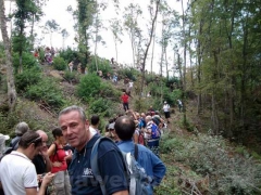 Silvio Cappelli