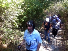 La fila nel bosco