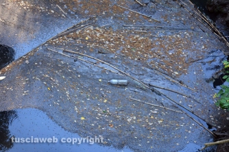 Etruschi - Castel d\'Asso - Sversamenti nell\'Urcionio