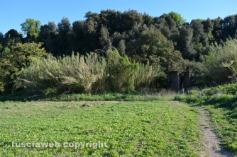 Etruschi - Castel d\'Asso - Sversamenti nell\'Urcionio