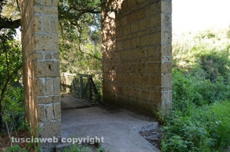 Etruschi - Castel d\'Asso - Sversamenti nell\'Urcionio