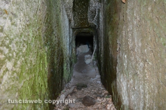 Etruschi - Castel d\'Asso - Sversamenti nell\'Urcionio