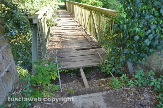 Etruschi - Castel d\'Asso - Sversamenti nell\'Urcionio