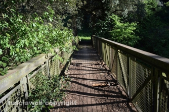 Etruschi - Castel d\'Asso - Sversamenti nell\'Urcionio