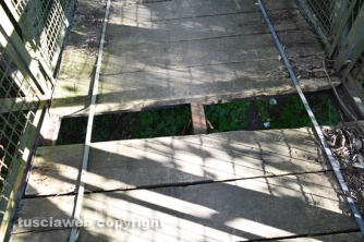 Etruschi - Castel d\'Asso - Sversamenti nell\'Urcionio