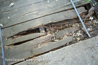 Etruschi - Castel d\'Asso - Sversamenti nell\'Urcionio