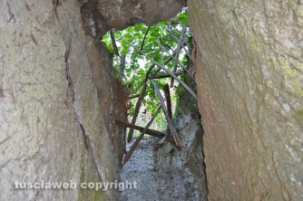 Etruschi - Castel d\'Asso - Sversamenti nell\'Urcionio