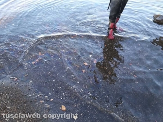 Marta - Sversamento di gasolio nel lago di Bolsena