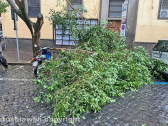 Maltempo a Viterbo