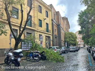 Maltempo a Viterbo