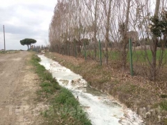 Terme, torna la protesta sorridente
