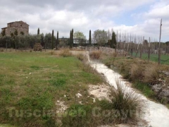 Terme, torna la protesta sorridente