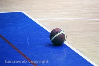 Terra di Tuscia - Al Discount Dynamic Venafro