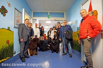 Terranova a Belcolle