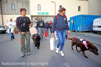 Terranova a Belcolle