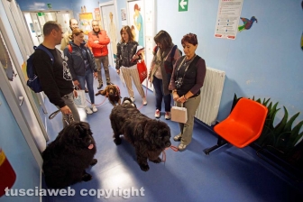 Terranova a Belcolle