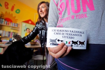 Terranova a Belcolle