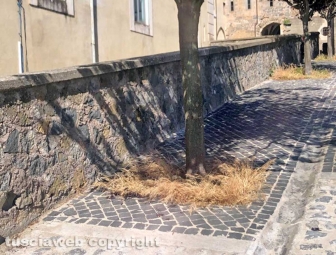 Tobia e San Martino abbandonate