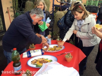 Tobia-San Martino al Cimino olio e vino