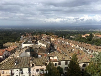 Tobia-San Martino al Cimino olio e vino