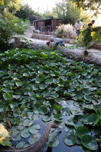 Tra i rami dell'arte