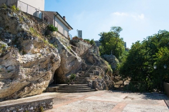 Tra i rami dell'arte