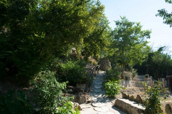 Tra i rami dell'arte