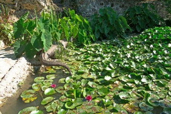 Tra i rami dell'arte