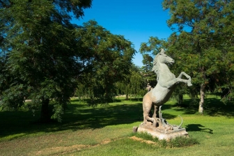 Tra i rami dell'arte