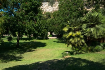 Tra i rami dell'arte