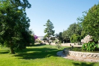 Tra i rami dell'arte