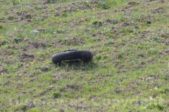 Il grave incidente alla Commenda