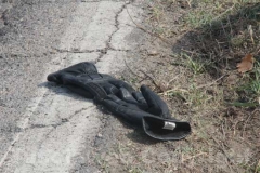 Il grave incidente alla Commenda