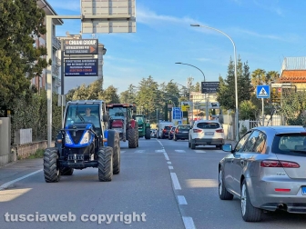 Viterbo - Trattori alla rotonda del centro commerciale e via Garbini
