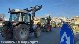 Viterbo - Trattori alla rotonda del centro commerciale e via Garbini