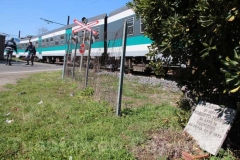 Treno contro auto