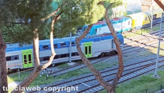 Viterbo - Treno deraglia alla stazione di Porta Fiorentina