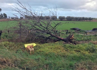 Tromba d'aria a Pescia Romana