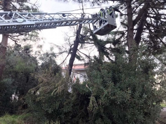 Tromba d'aria a Pescia Romana